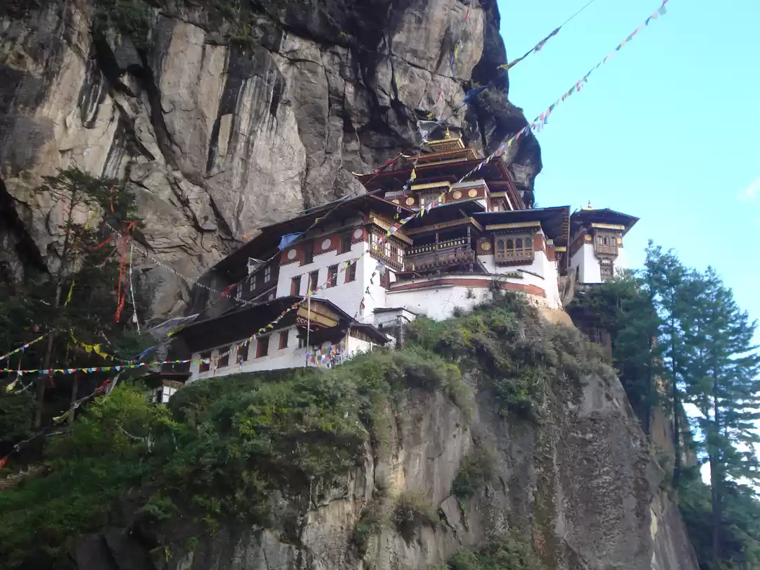 Photo of Gama in the land of 