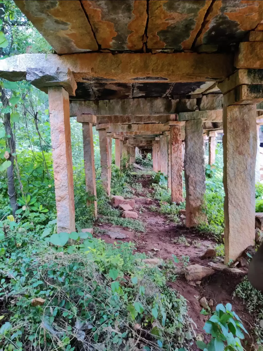 Photo of A Bangalore Fort shr