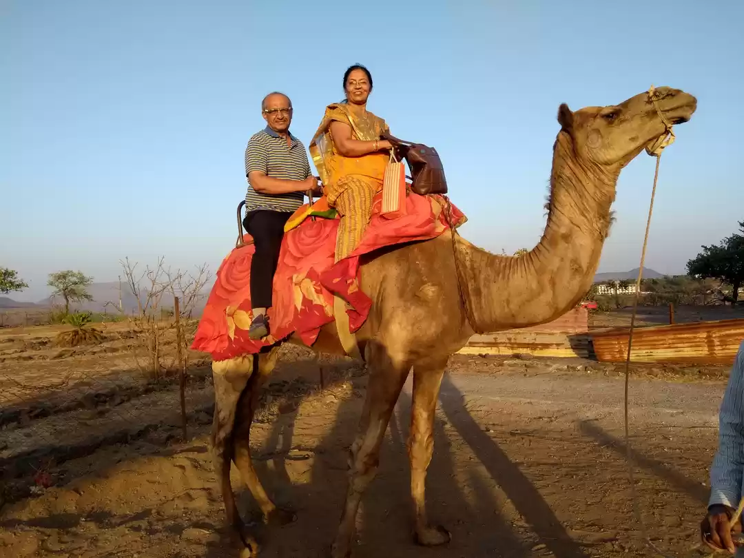 Photo of ભાવનગરના આ કપલે પોતા