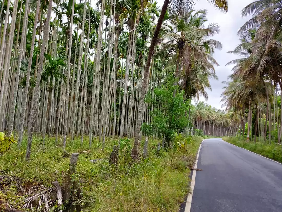 Photo of અનલોક-1માં સંસ્કૃત ગ