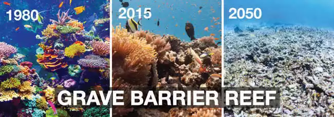 Photo of વિશ્વની સૌથી શ્રેષ્ઠ