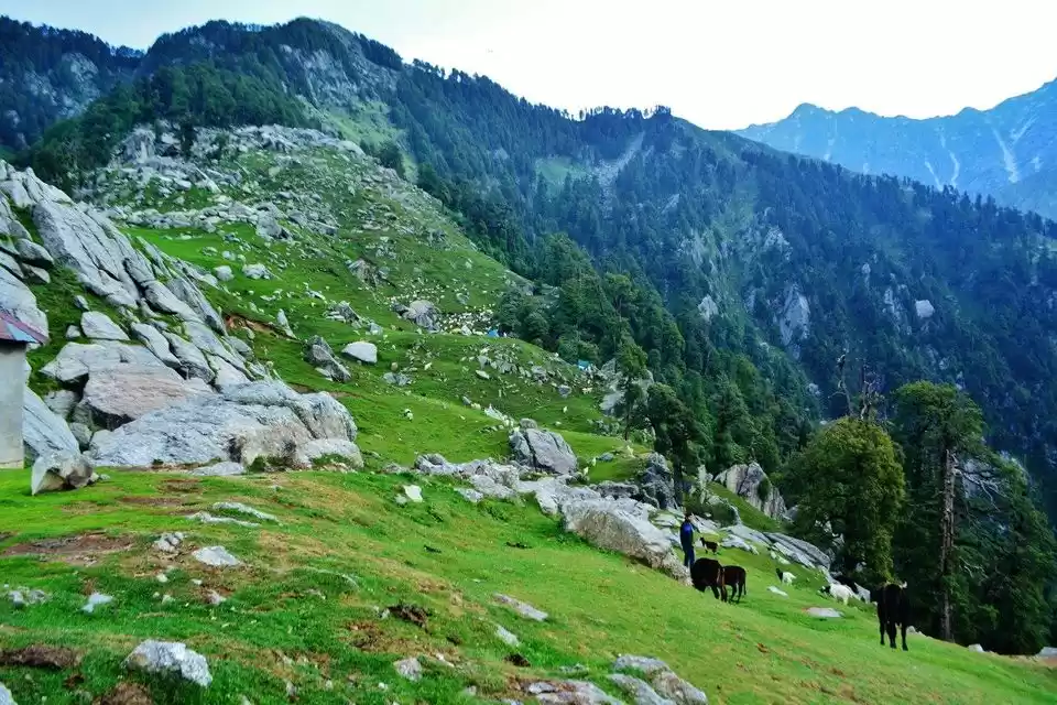 Photo of ચોમાસાની એક ખતરનાક સ