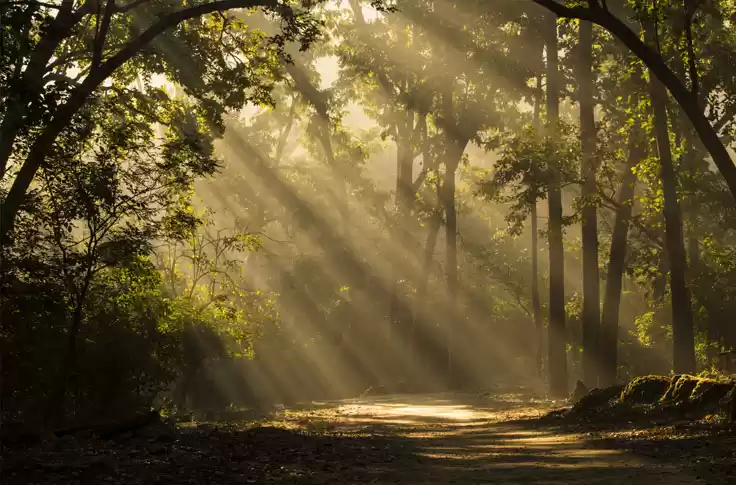Photo of આ રહ્યા ભારતનાં 9 ને