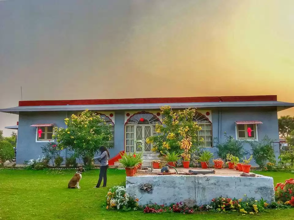 Photo of સૌ કોઈએ માણવાલાયક છે