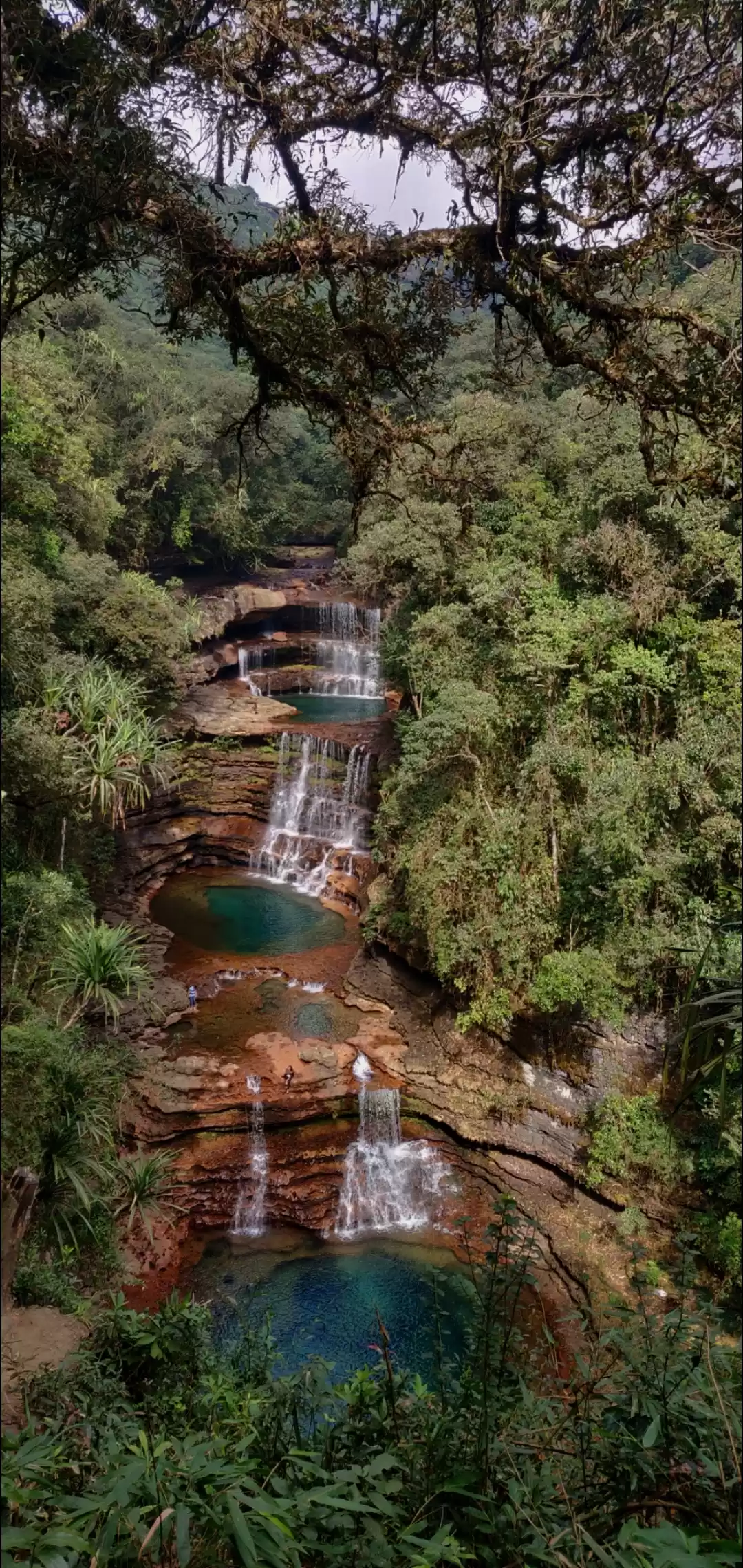 TaxiBazaar - Blog | Meghalaya - The Abode of Clouds