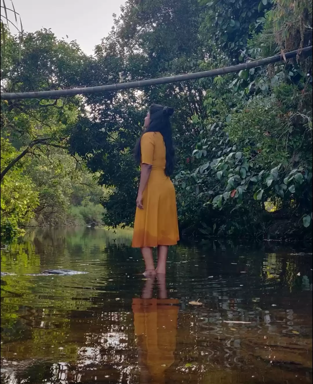 Photo of Coorg - Into the Wil