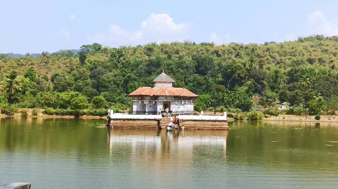 Photo of Varanga - A History 