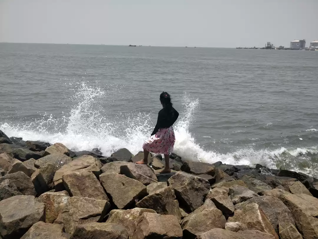 Photo of Kochi - Dashing Cult