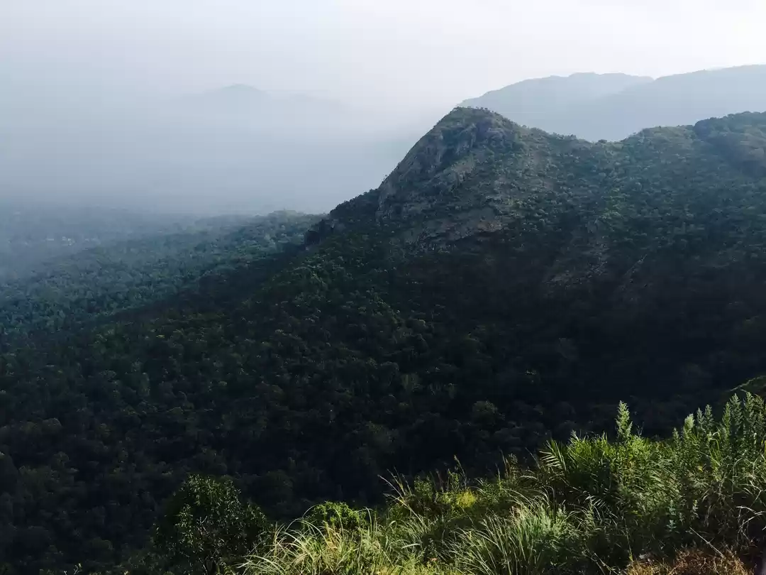 Photo of Ooty - Escape in the