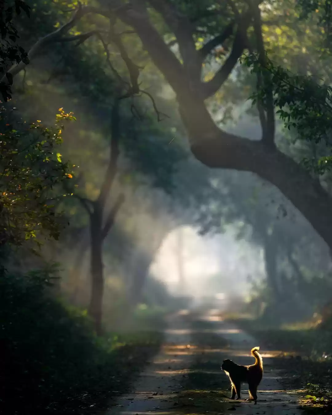 Photo of Amazing Trip