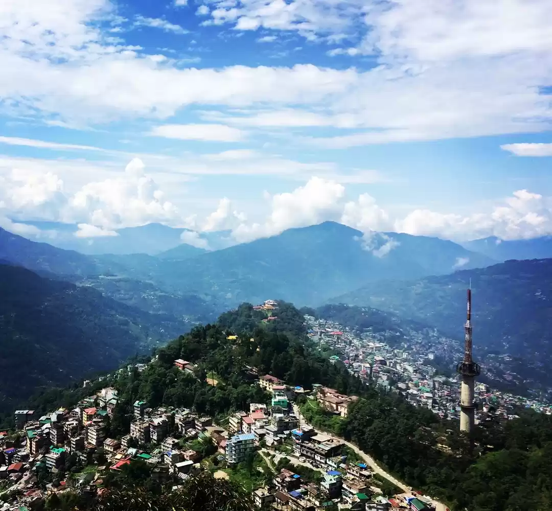 Photo of Working in Goa for a