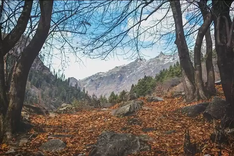 Photo of Hike to Tosh and Kul