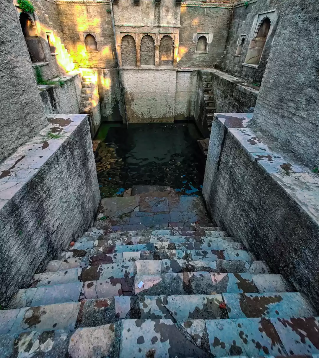 Photo of Bavdi