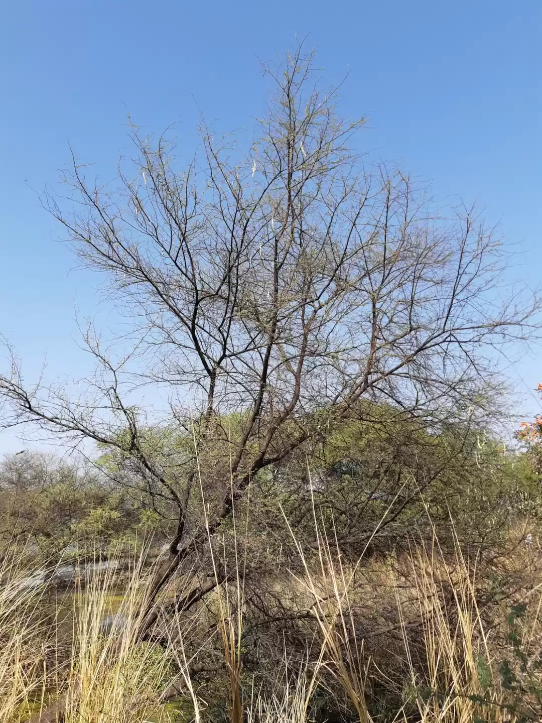 Photo of Fall beauty