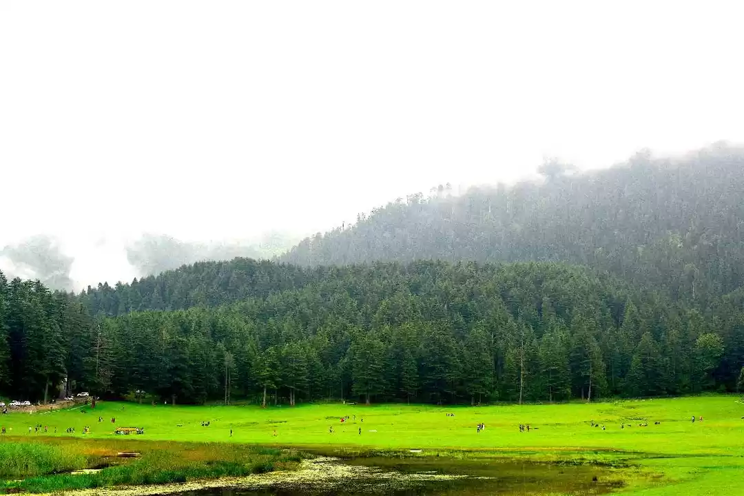 Khajjiar !!! | Khajjiar (Hindi: खज्जियार) is a hill station … | Flickr