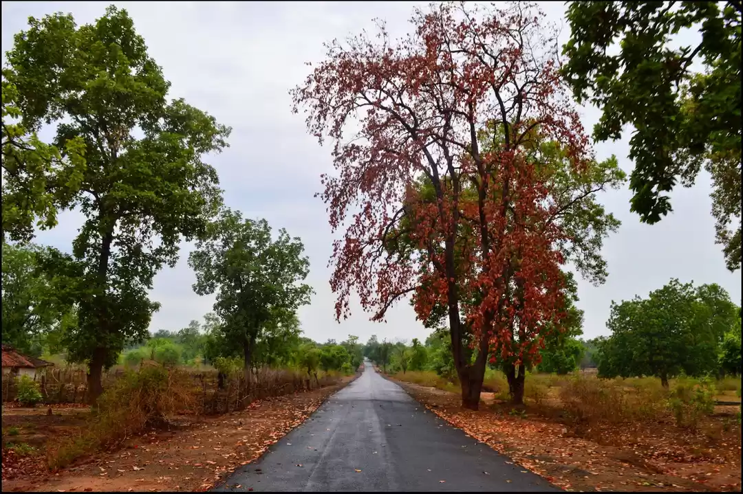 Photo of Chenchpur Waterfall