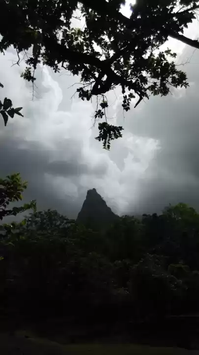 Photo of Rendezvous With Mt E