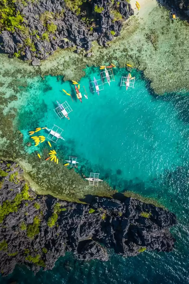 Photo of The perfect, budget-