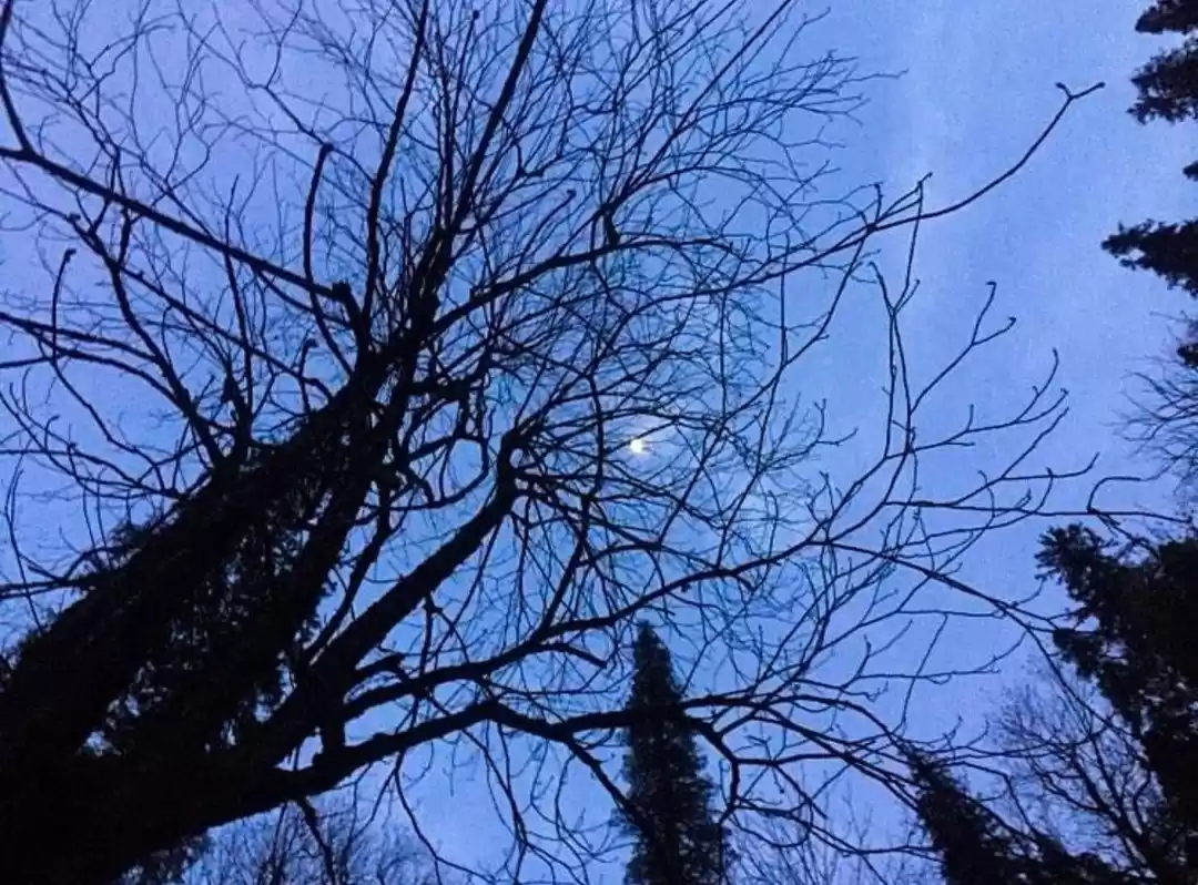 Photo of It's always about th