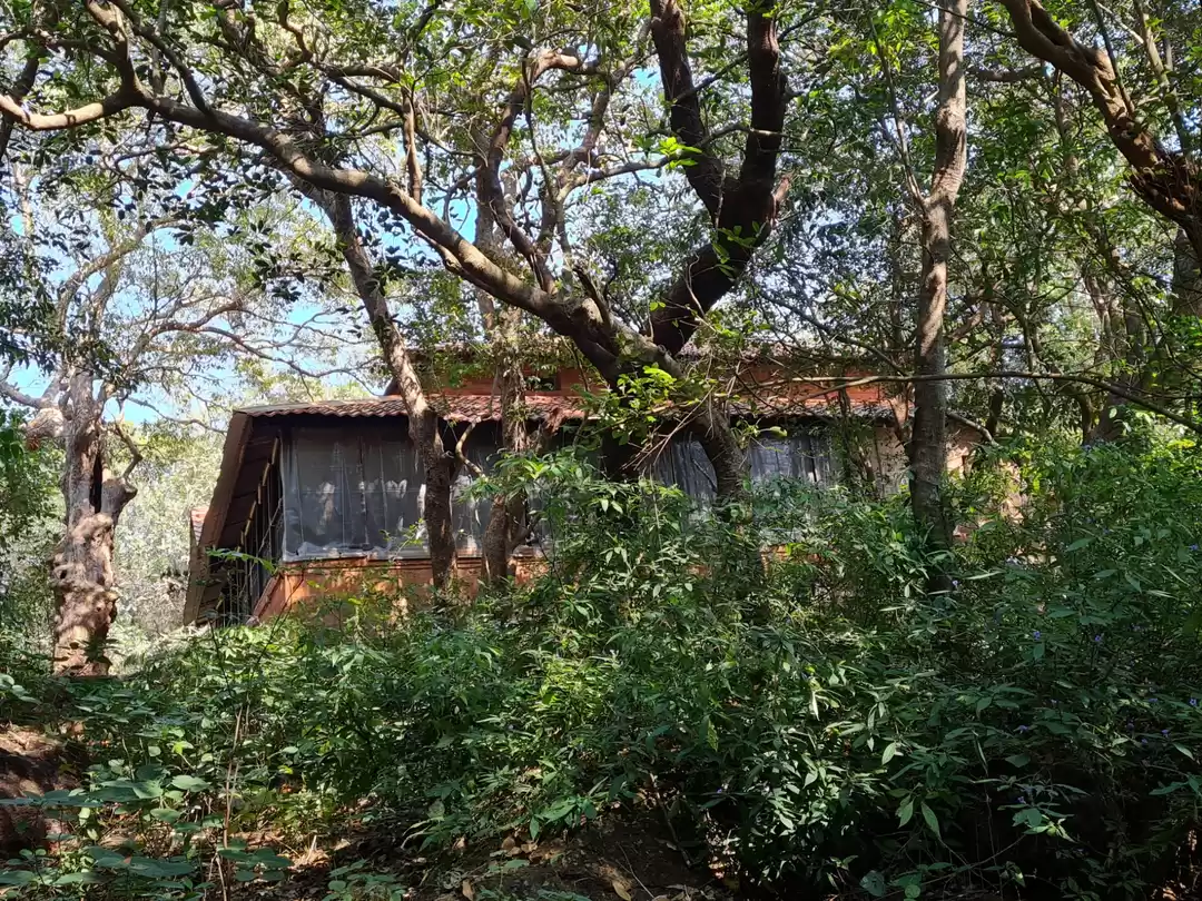 Photo of Matheran - unchanged