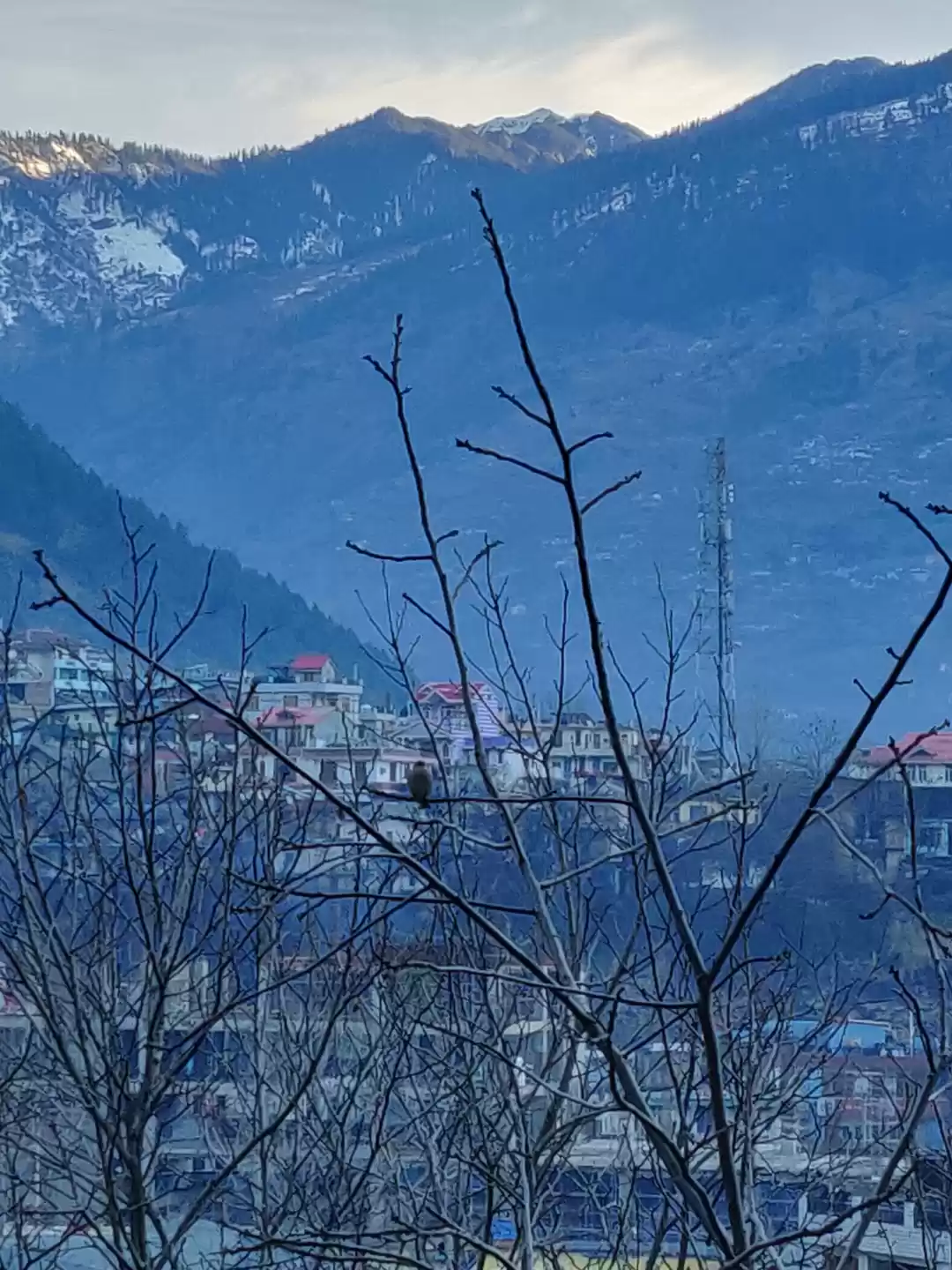 Photo of Experience Kullu Man