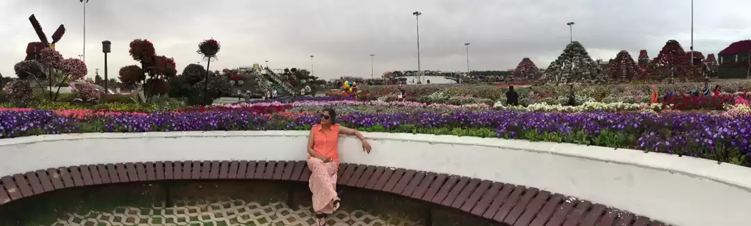 Photo of Miracle Garden - दुब