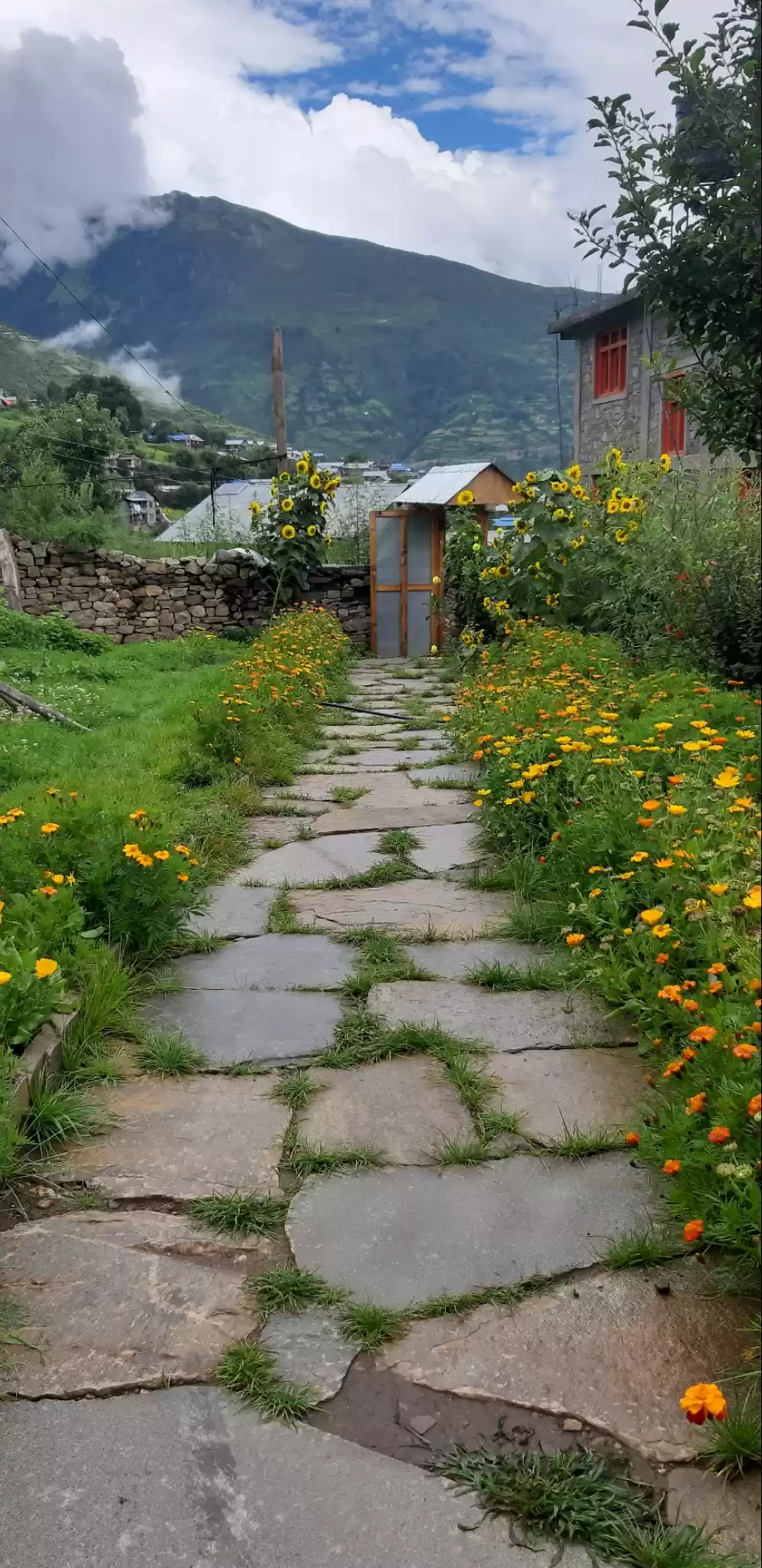 Photo of मेरी कैलाश मानसरोवर