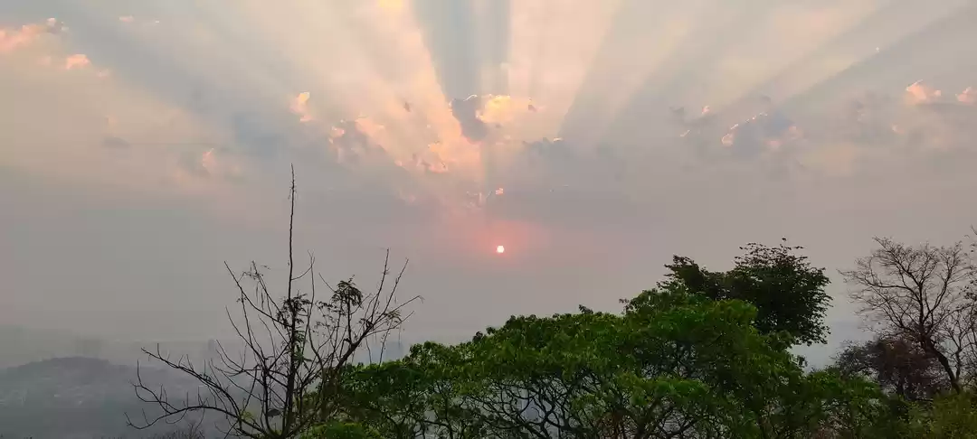 Photo of Circuit Tour With Pu