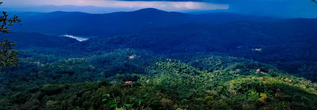 Photo of Birthday Impromptu R