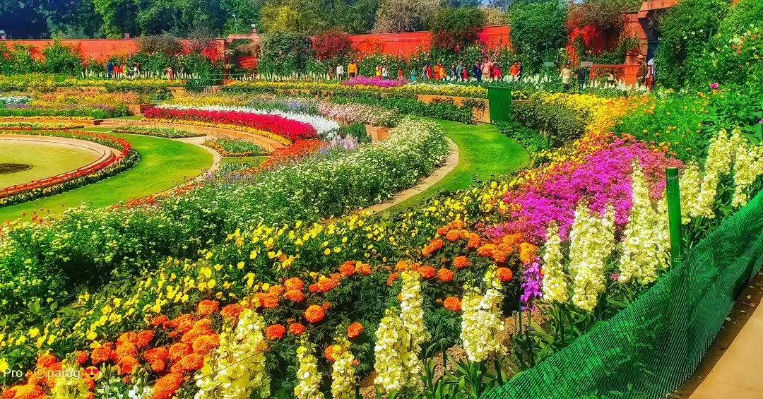 Photo of Mughal Gardens!