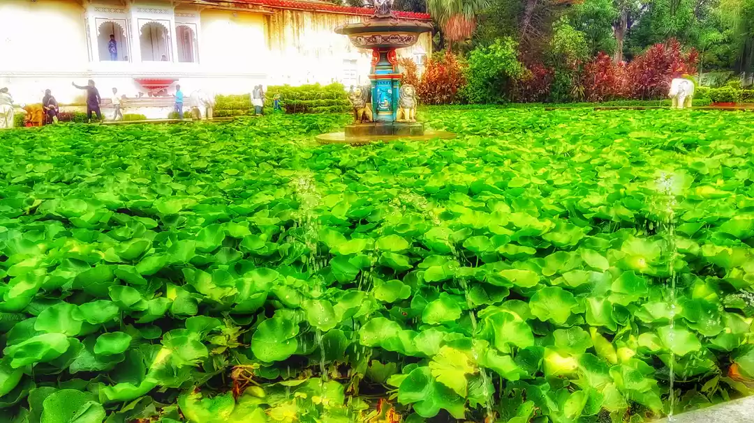 Photo of Saheliyon ki Baari