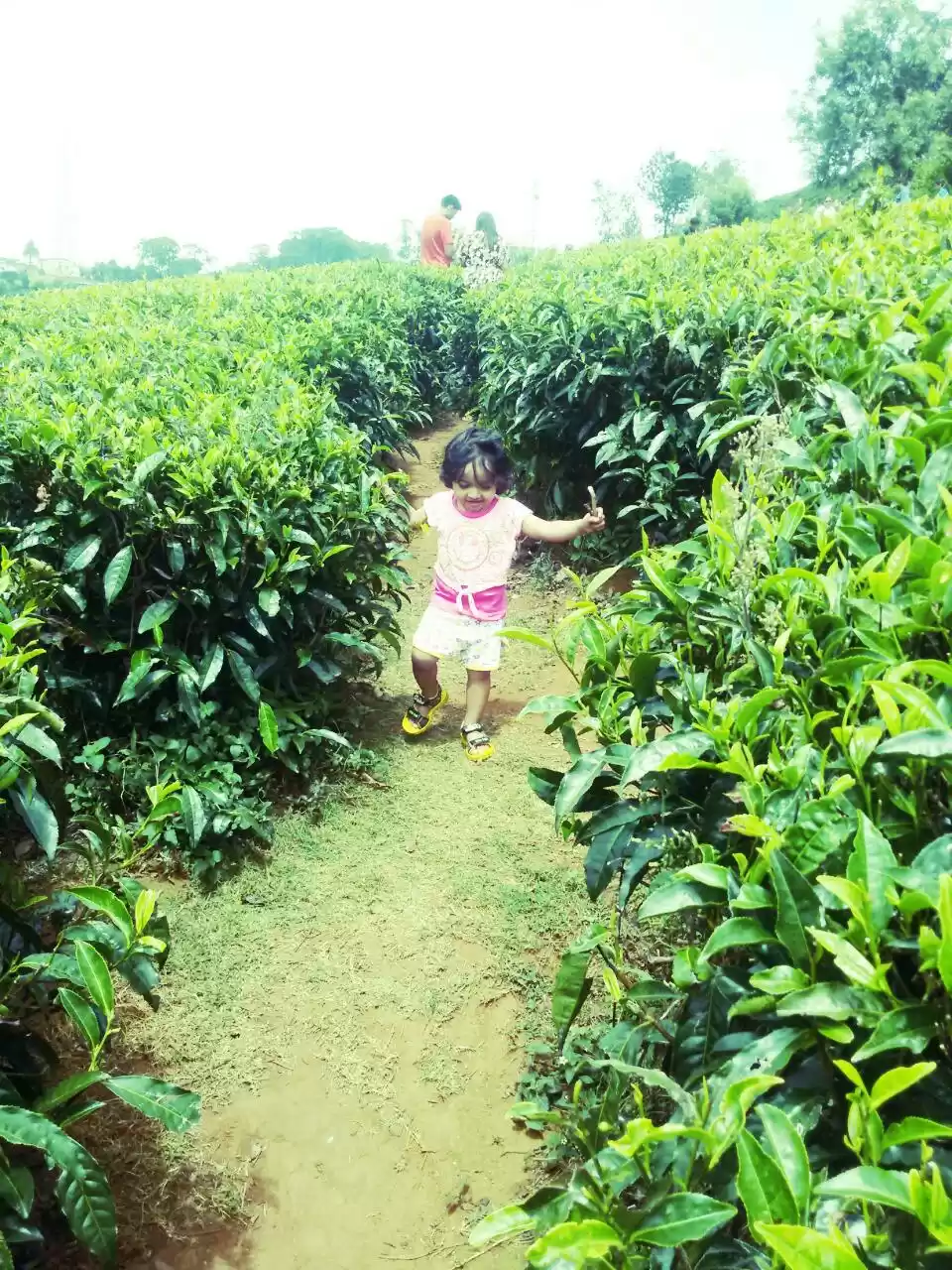 Photo of OOTY : Queen of the