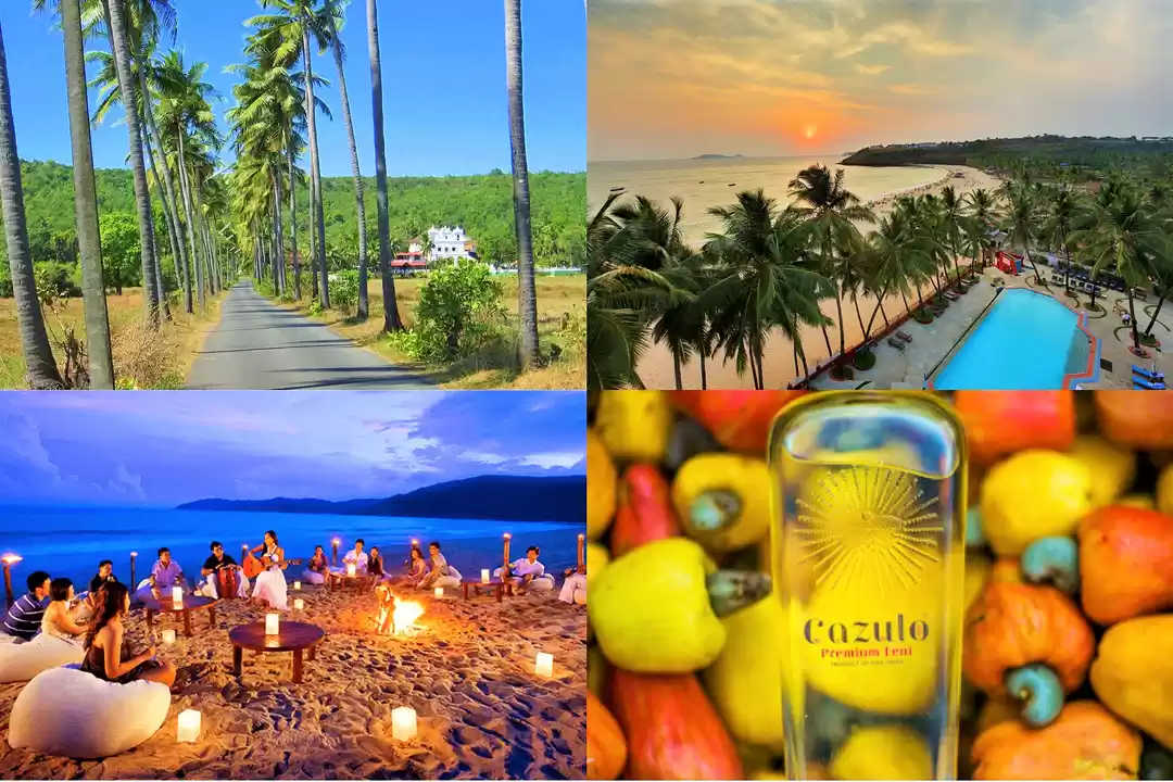 Photo of Goa is open for tour