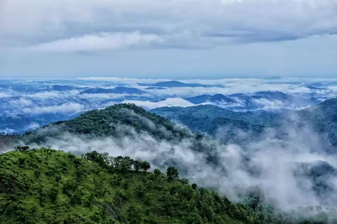 Photo of Wayanad – The green 