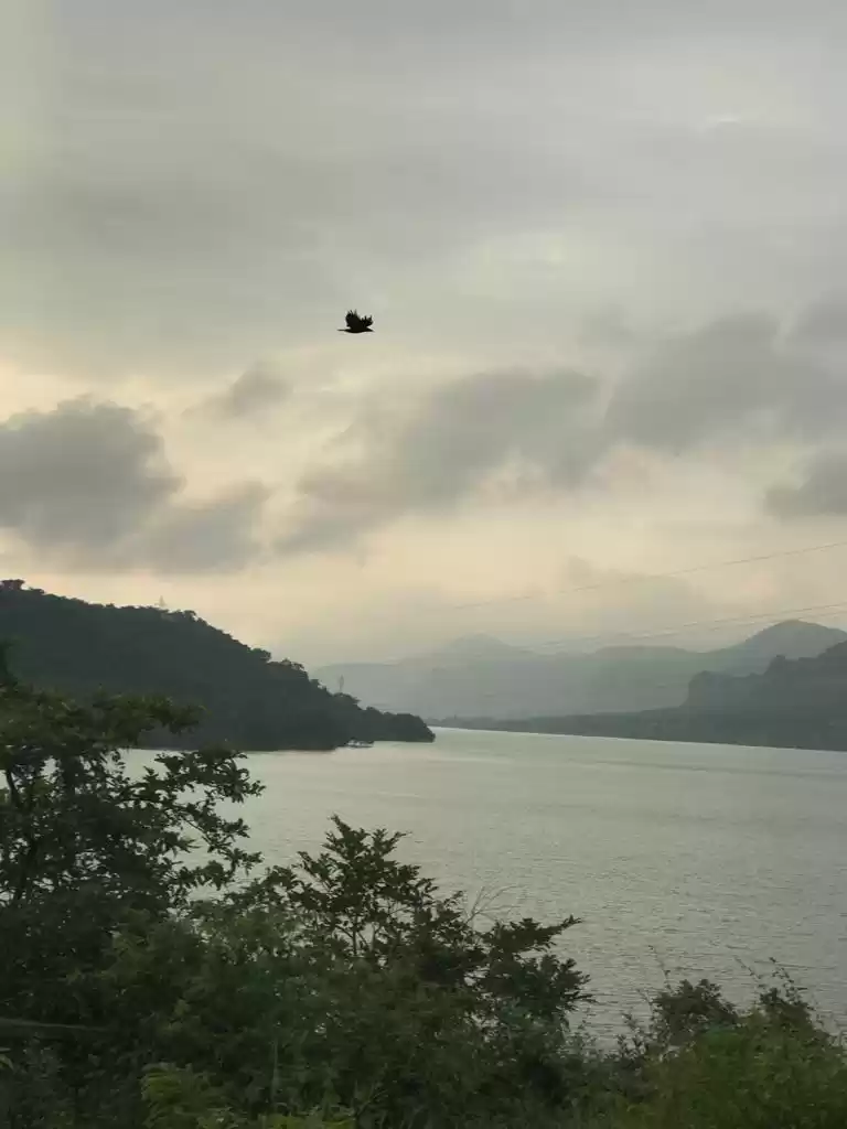 Photo of More Like an Adventu