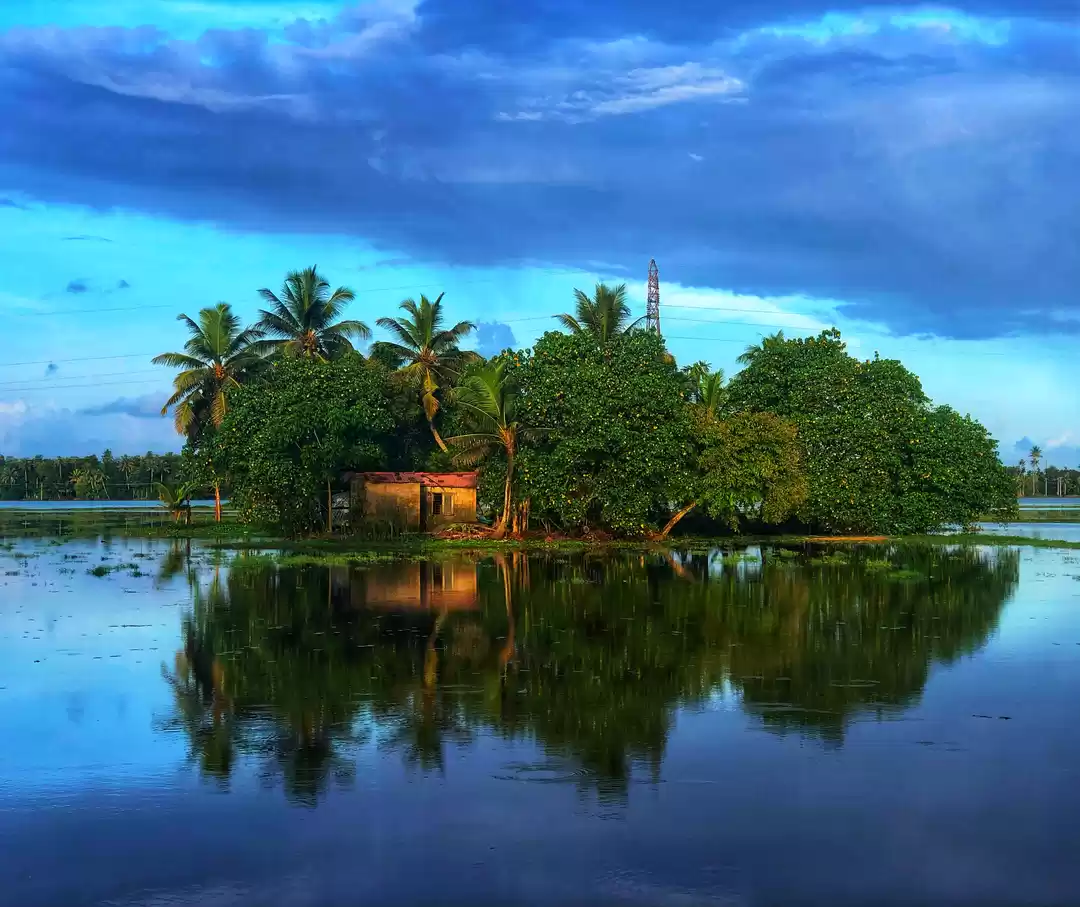 Photo of Back waters of Allep