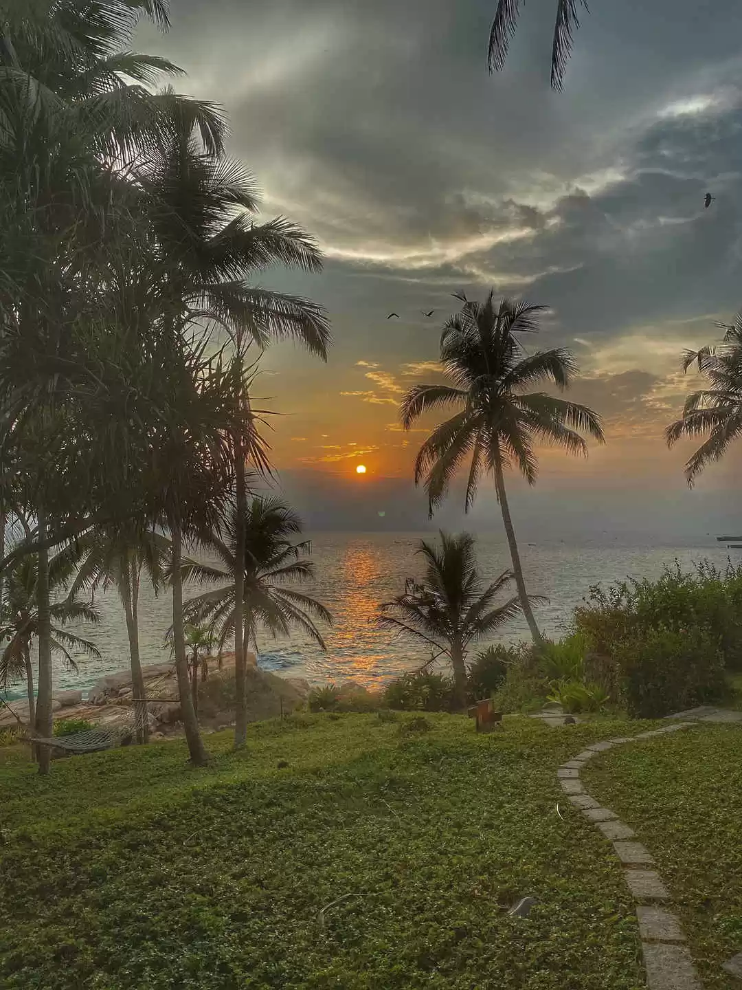 Photo of Niraamaya - Wellness