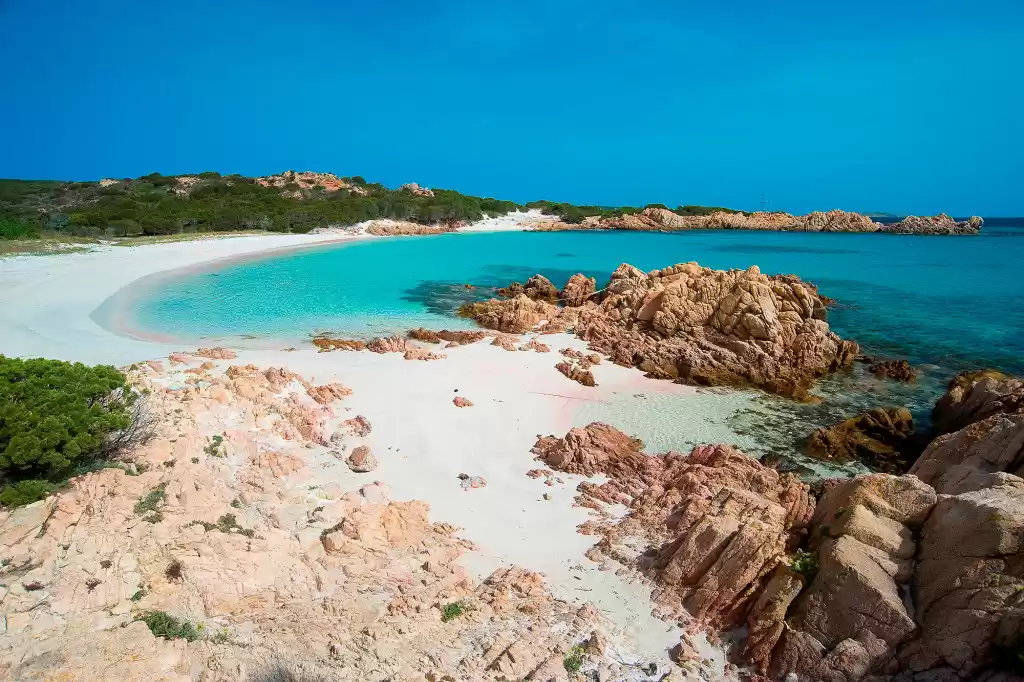 Photo of Not the Tom Hanks in