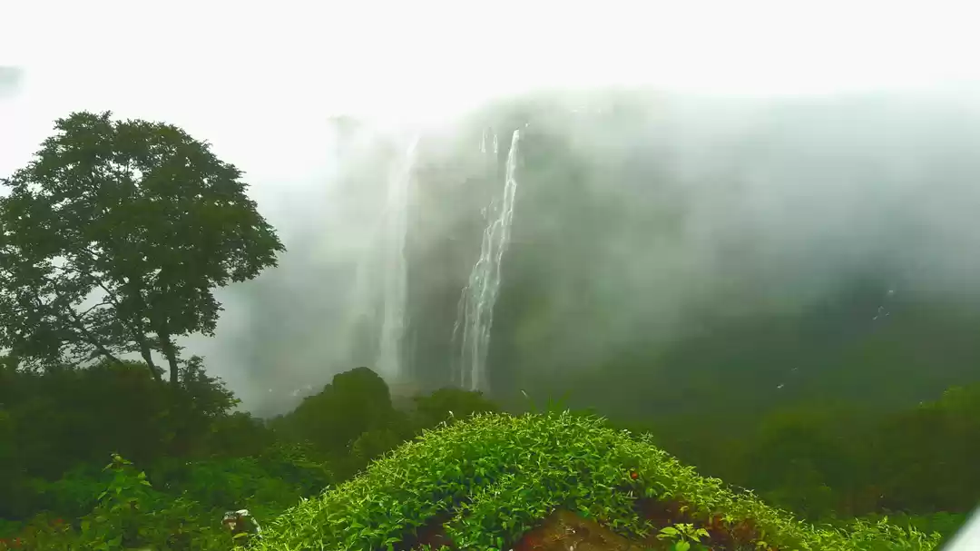 Photo of Post lockdown trip t