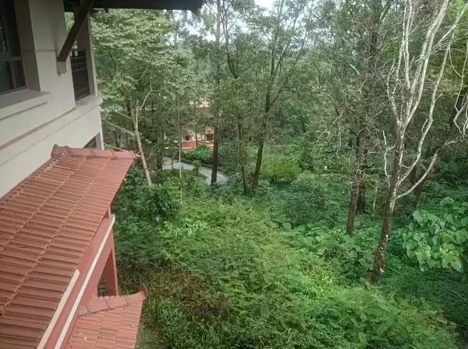 Photo of Madikeri and surroun