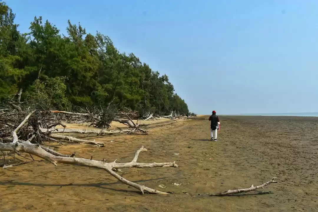 Photo of দীঘা থেকে সামান্য দূ