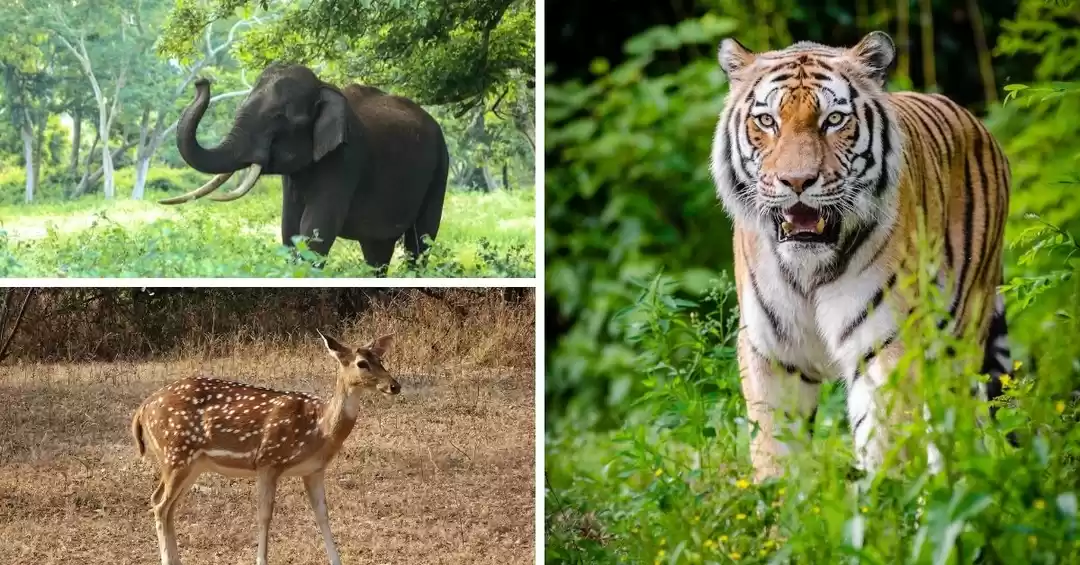 Photo of ভারতবর্ষের প্রধান ১০