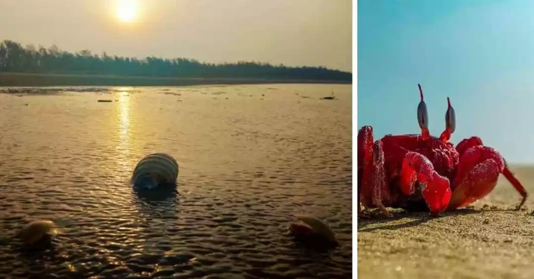 Photo of সপ্তাহের শেষে নোনা হ