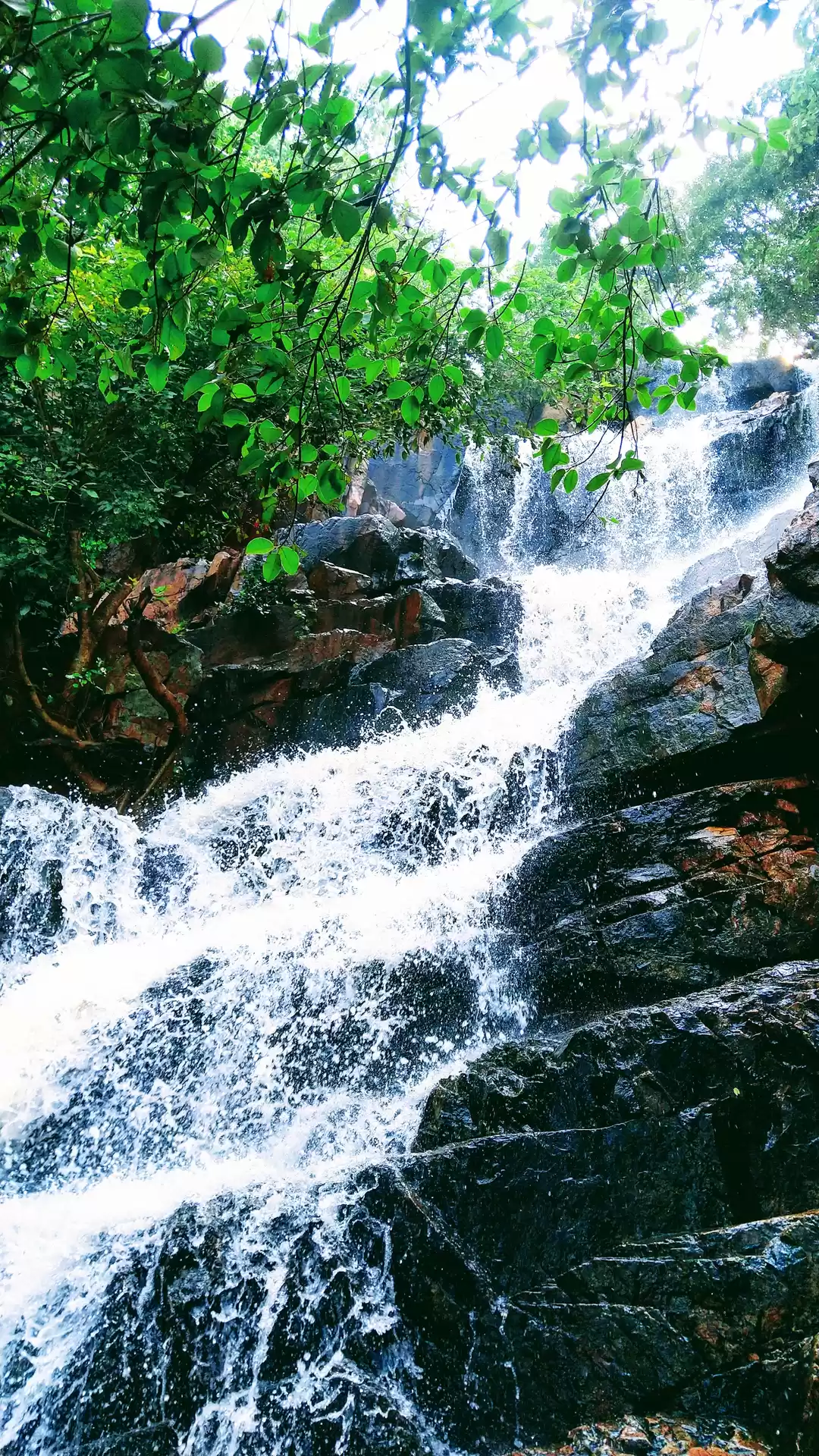 Photo of Saying Aye-Aye to Ra