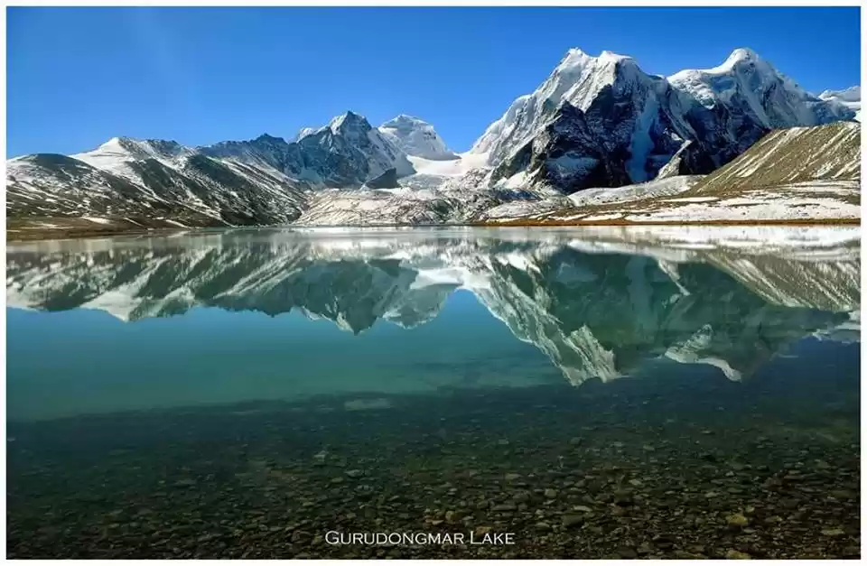 Photo of This Comprehensive I