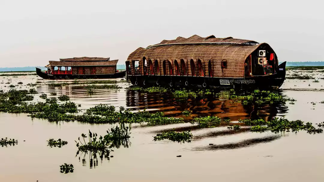 Photo of How a Failed Trip to