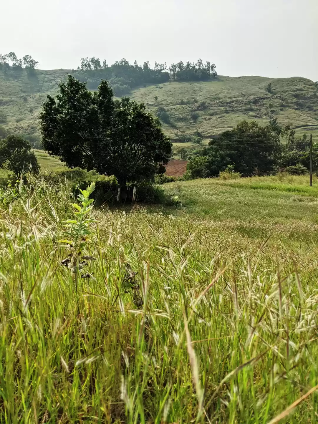 Photo of A trip to Wai