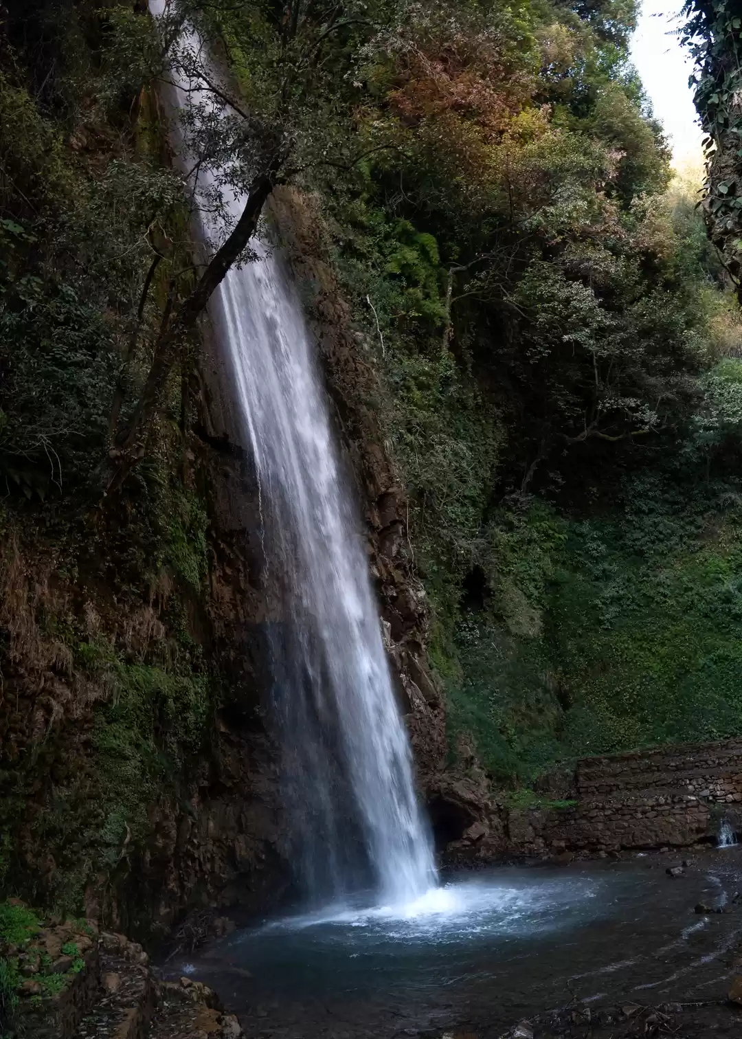 Photo of Chakrata Trip