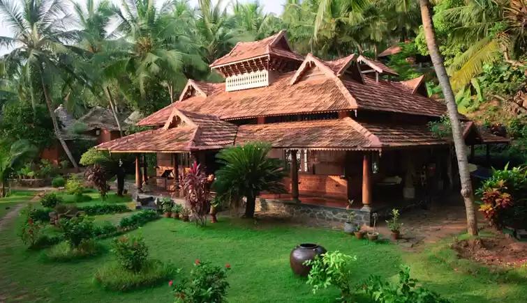 Photo of Post-Pandemic - ટોપ