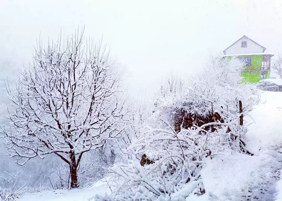 Photo of Feel the icy wonderl